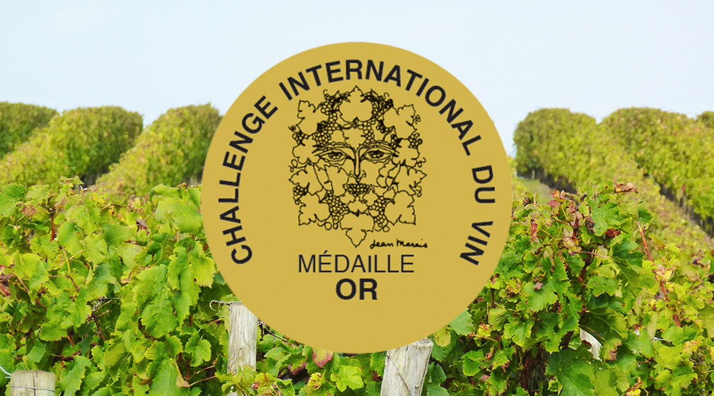 Challenge International Du Vin 2018 – MT de Toumalin 2015