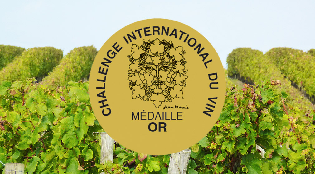 2019 WINNER OF THE CHALLENGE INTERNATIONAL DU VIN